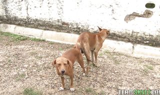 Once on the dangler startling latin young gf Susana Pino with large tits is just feeling the warmth